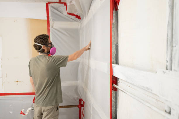 Best Mold Documentation for Insurance Claims  in Fairfax, MN