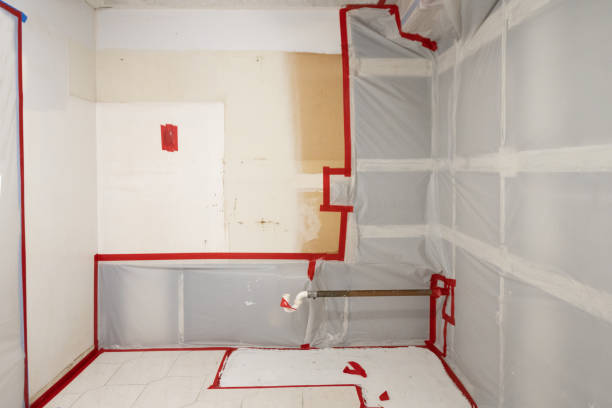 Best Attic Mold Removal  in Fairfax, MN