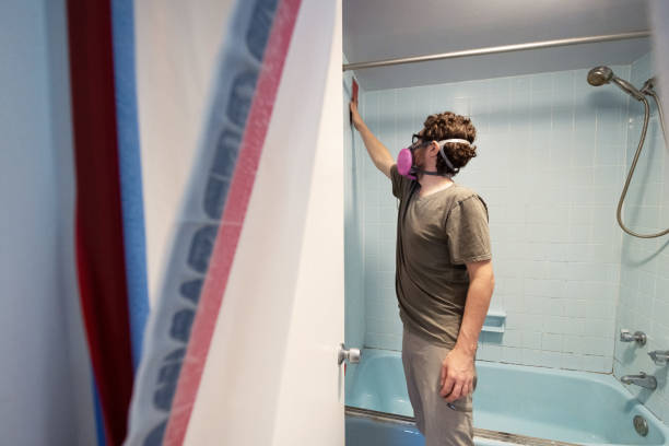 Best Mold Remediation for Rental Properties  in Fairfax, MN