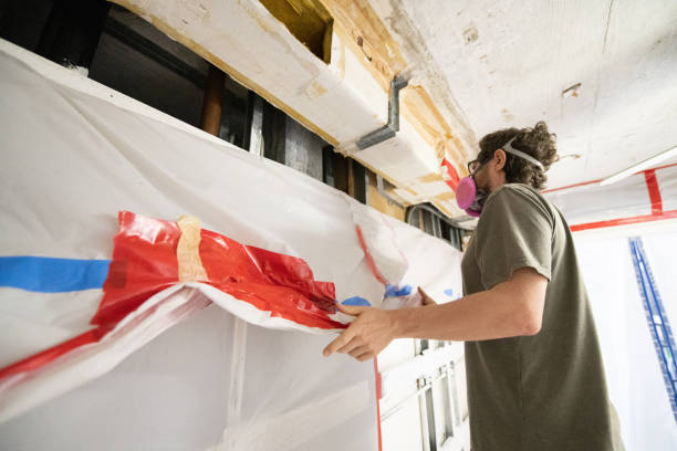Best Asbestos and Lead Testing During Mold Inspection  in Fairfax, MN