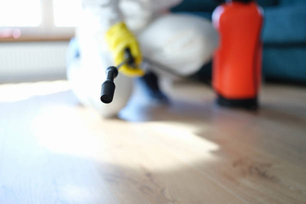 Best Water Damage & Mold Remediation  in Fairfax, MN