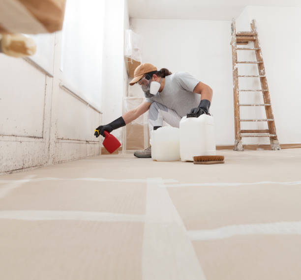 Best Post-Construction Mold Inspection  in Fairfax, MN